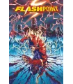 Flashpoint XP Nº 1 (de 4)
