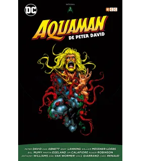 Aquaman de Peter David Nº 3...