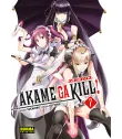 Akame ga Kill! Zero Nº 07 (de 10)