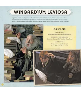 Harry Potter: Hechizos y Encantamientos
