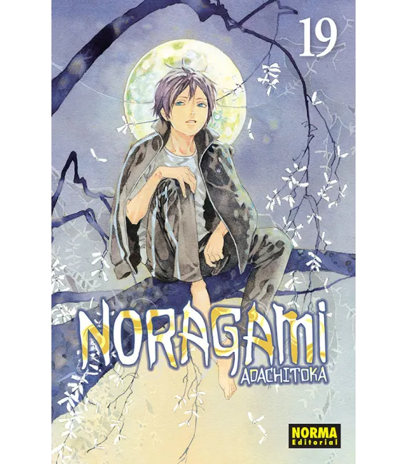 Noragami Nº 19 (de 27)