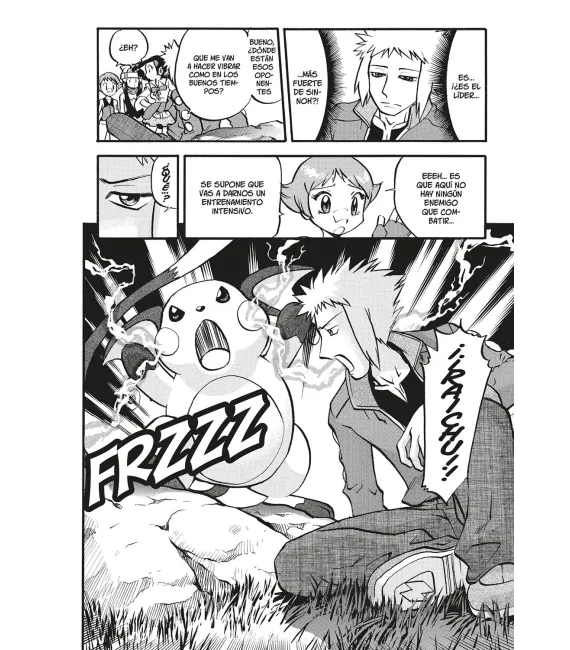 Pokémon Nº 21 - Diamante y Perla 5