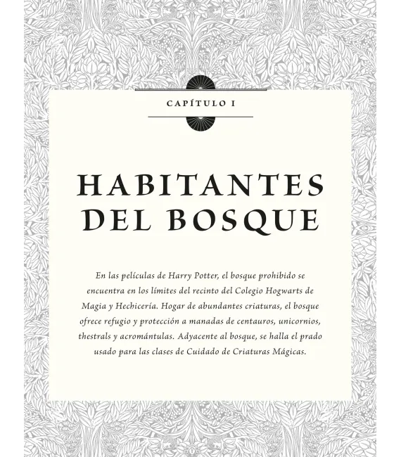 Harry Potter: Los archivos de las películas Nº 1: Criaturas del bosque, del lago y voladoras