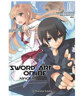 Sword Art Online Aincrad Nº...