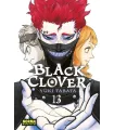 Black Clover Nº 13