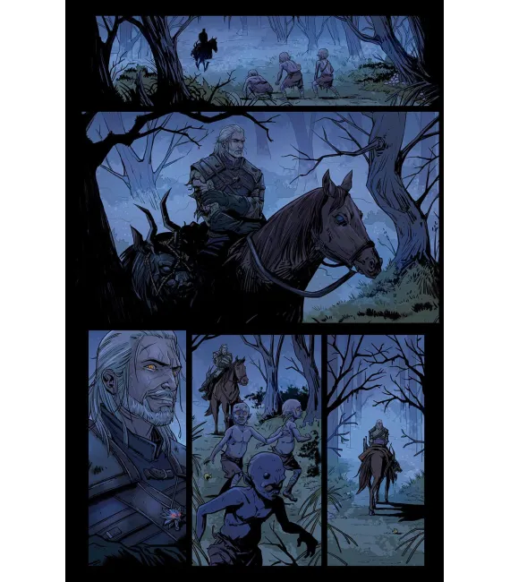 The Witcher Nº 04