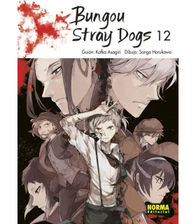 Bungou Stray Dogs Nº 12