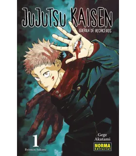 Jujutsu Kaisen Nº 01