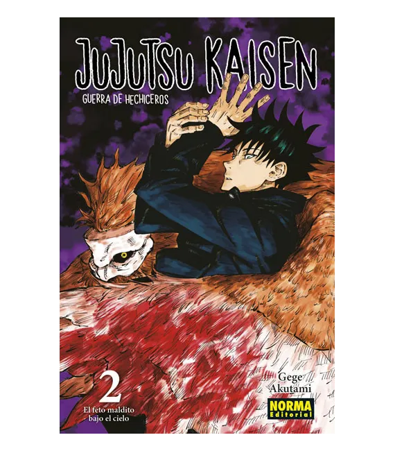 Jujutsu Kaisen Nº 02