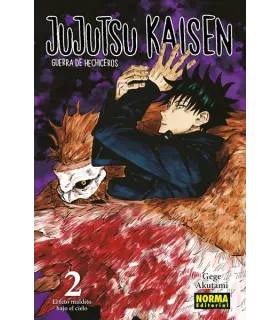 Jujutsu Kaisen Nº 02