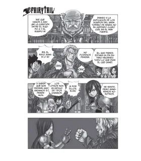 Fairy Tail S Nº 1 (de 2)