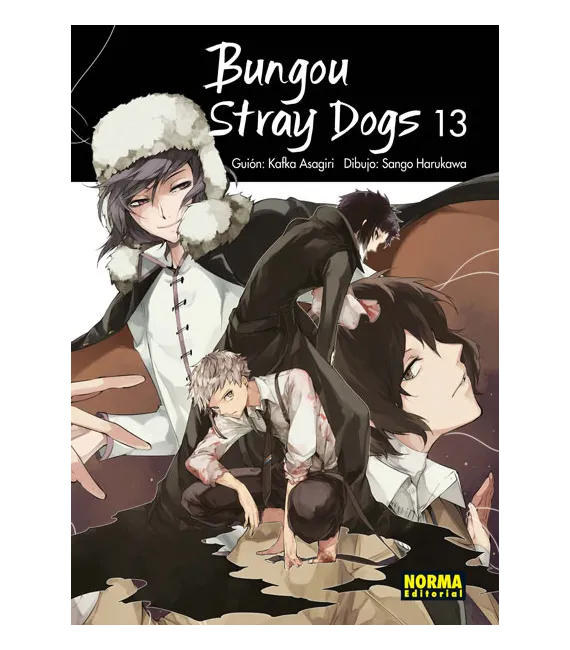 Bungou Stray Dogs Nº 13