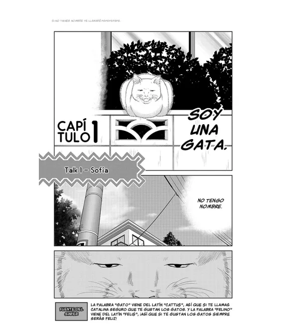 Historias Absurdas Nº 01