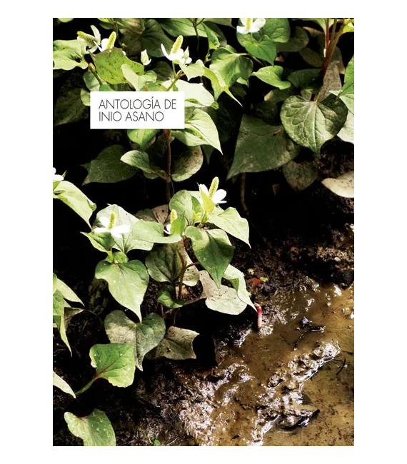 Antología de Inio Asano