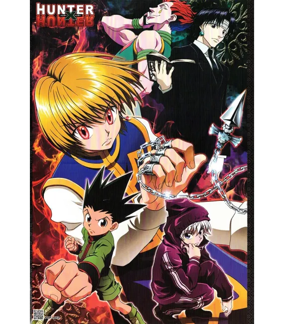 Póster Hunter x Hunter 08