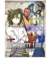 Las aventuras de Huckleberry Finn