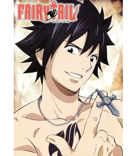 Póster Fairy Tail 03
