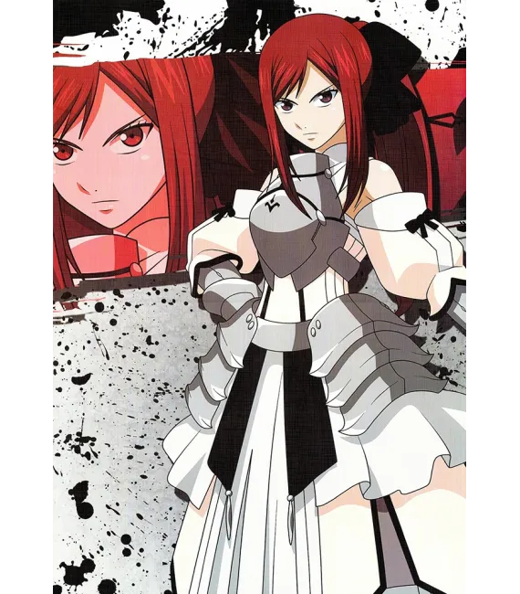 Póster Fairy Tail 05