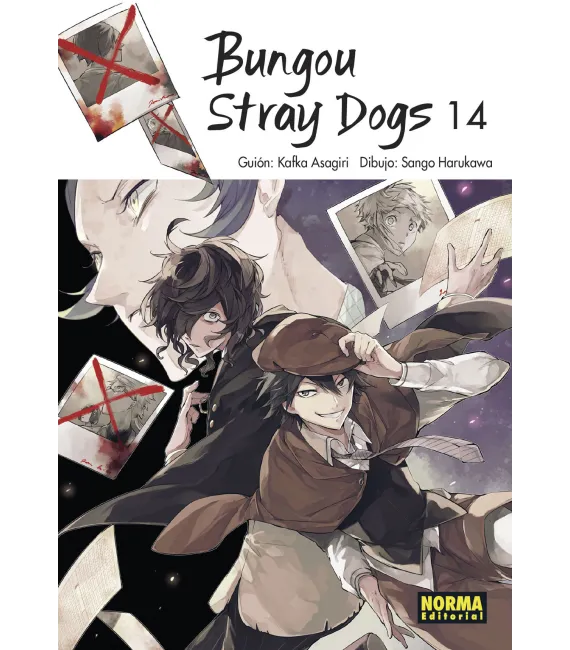 Bungou Stray Dogs Nº 14