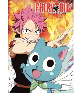 Póster Fairy Tail 06