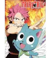 Póster Fairy Tail 06