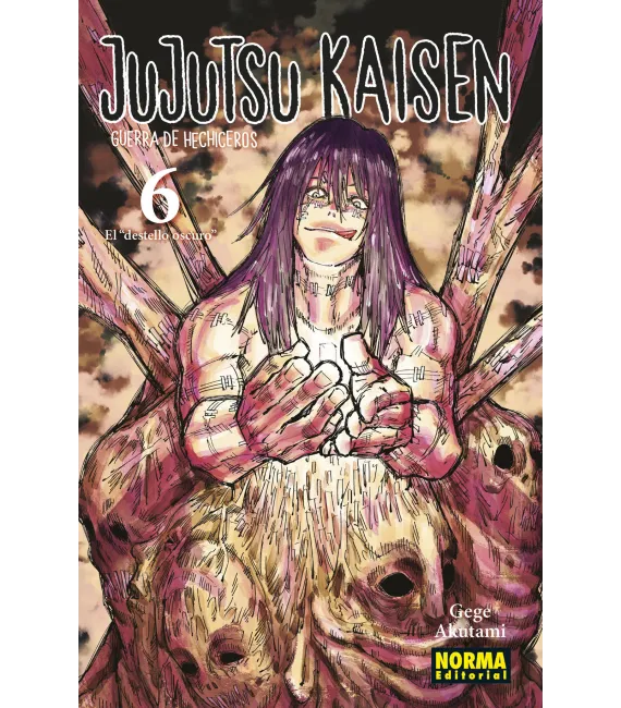 Jujutsu Kaisen Nº 06