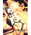 Póster Naruto 02
