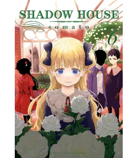Shadow House Nº 06