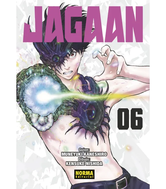 Jagaan Nº 06