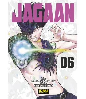 Jagaan Nº 06
