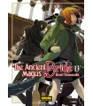 The Ancient Magus Bride Nº 13