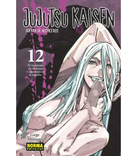Jujutsu Kaisen Nº 12