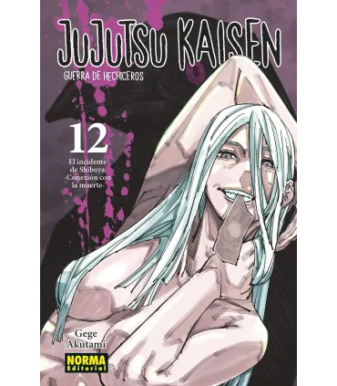 Jujutsu Kaisen Nº 12