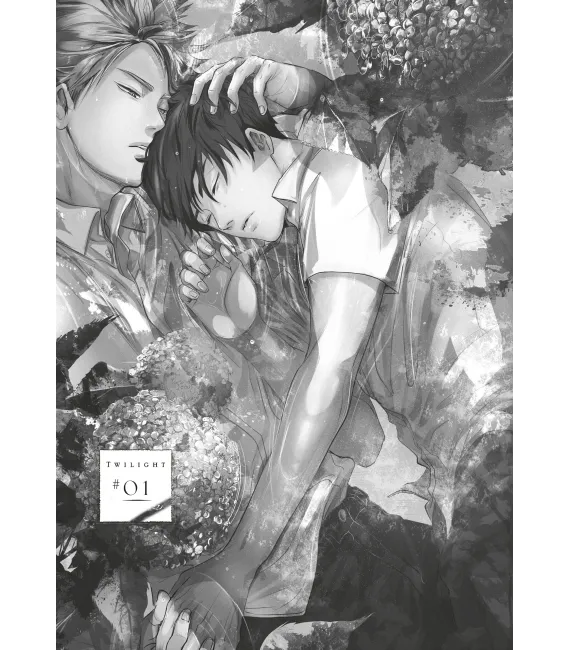 Twilight