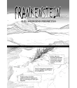 Frankenstein (Clásicos Manga)