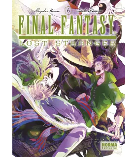 Final Fantasy: Lost Stranger Nº 06