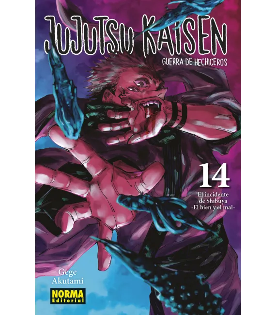 Jujutsu Kaisen Nº 14