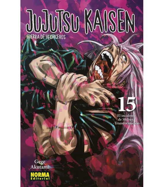Jujutsu Kaisen Nº 15