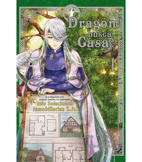 Dragón busca casa Nº 04 (de 10)