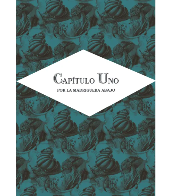 Alicia en el País de las Maravillas