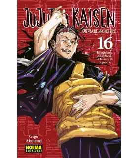 Jujutsu Kaisen Nº 16