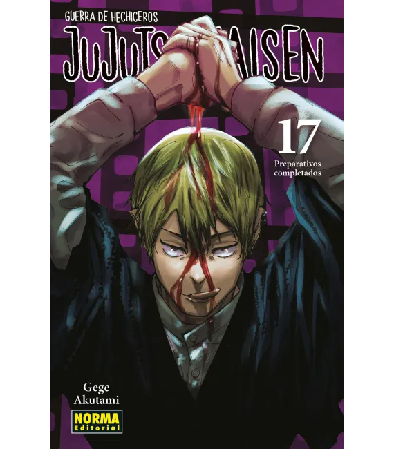 Jujutsu Kaisen Nº 17