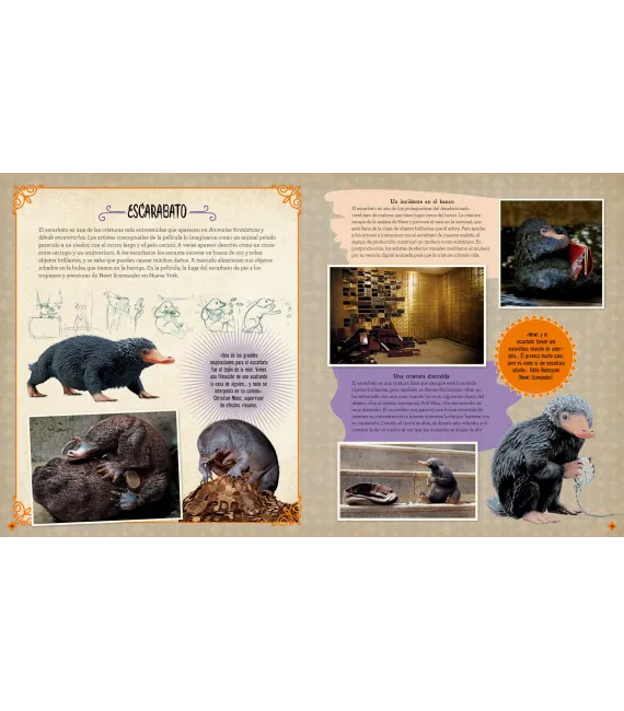 Cine Mágico 2: Criaturas curiosas