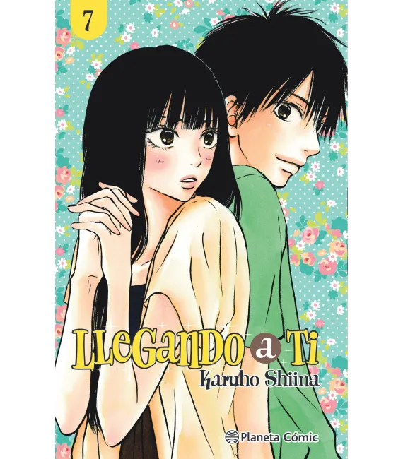 Llegando a ti Nº 07 (de 30)