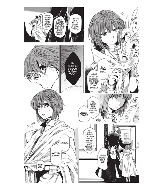 The Ancient Magus Bride Nº 01