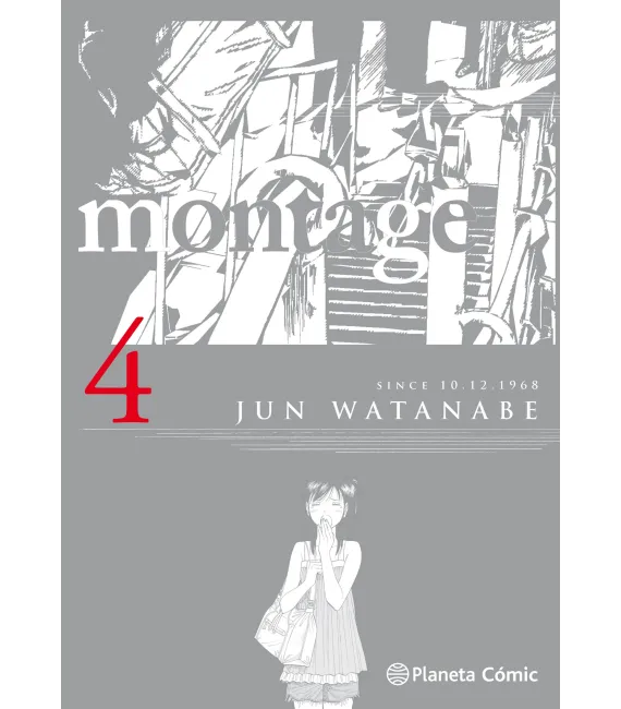 Montage Nº 4 (de 9)