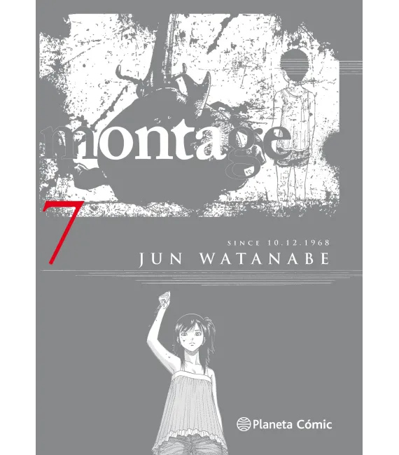 Montage Nº 7 (de 9)