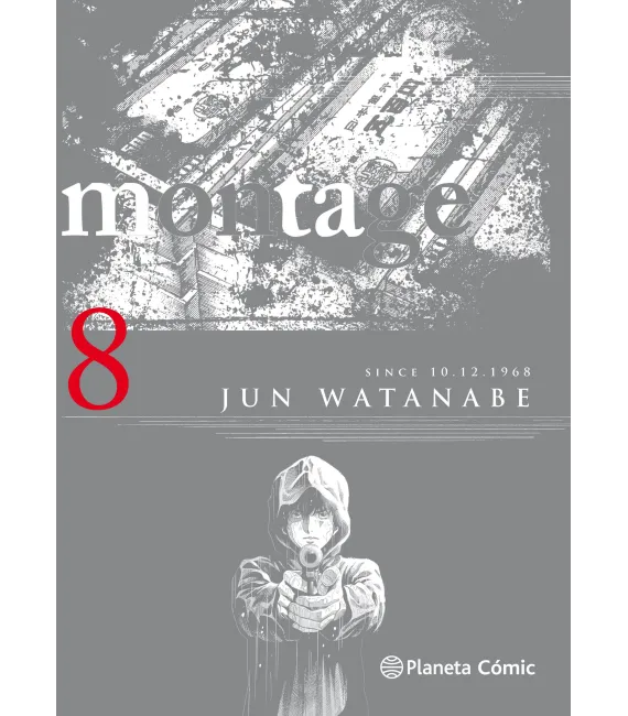 Montage Nº 8 (de 9)