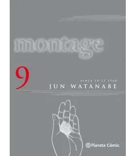 Montage Nº 9 (de 9)