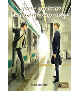 Sin querer enamorarnos